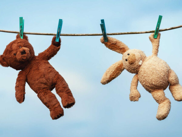 Items that can go in the washer – teddies hanging on a washing line